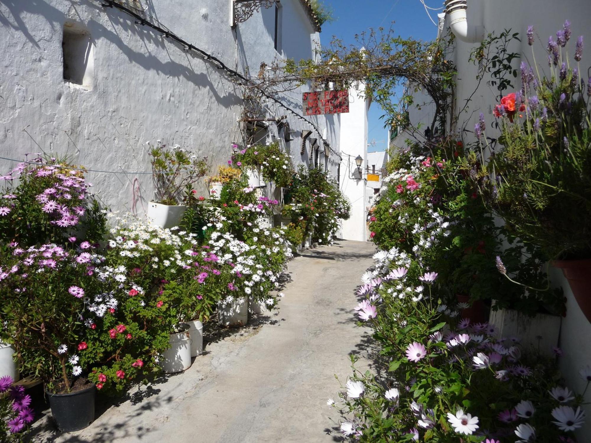 Vivienda Turística de Alojamiento Rural Cilla Vieja Vejer de la Frontera Exterior foto