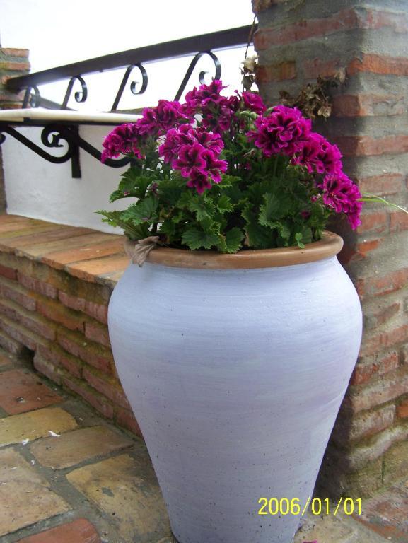 Vivienda Turística de Alojamiento Rural Cilla Vieja Vejer de la Frontera Exterior foto